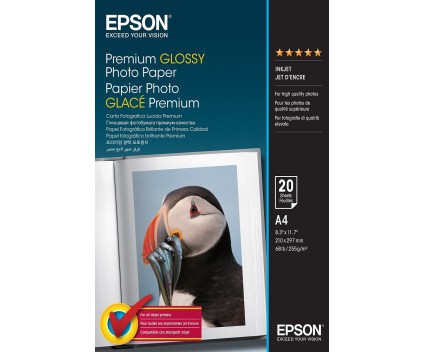 Papel Fotográfico Original Epson S041287 255 g/m² ~ 20 Pages 210mm x 297mm